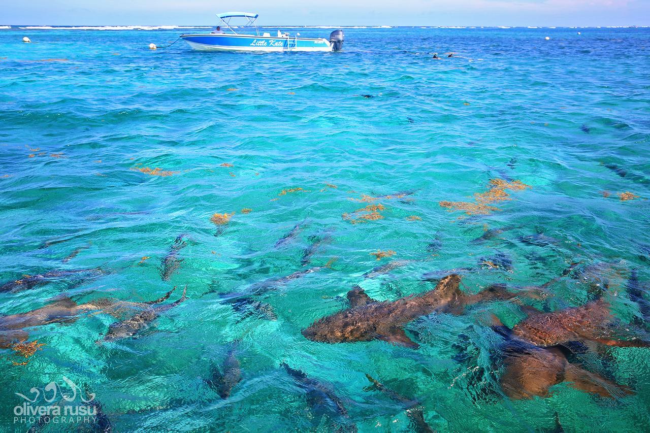 Cayo Espanto San Pedro  Kültér fotó